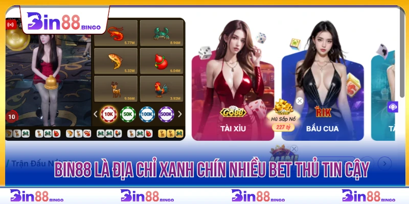 BIN88 là địa chỉ giải trí xanh chín được nhiều bet thủ tin tưởng 