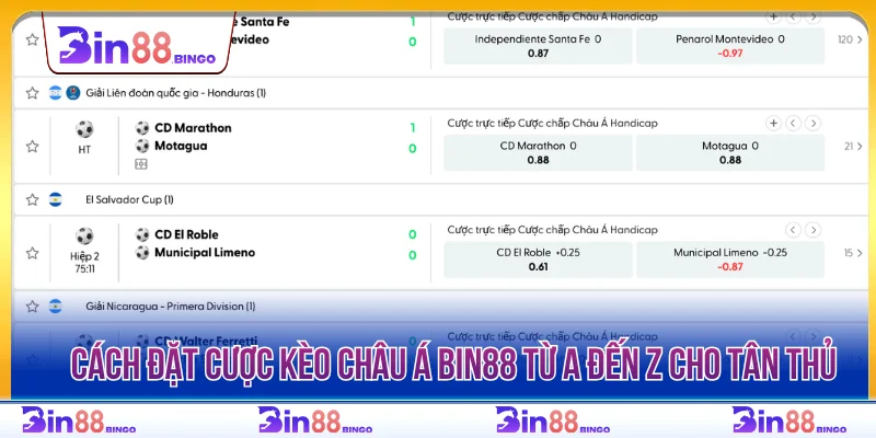 Cách đặt cược kèo châu Á Bin88 từ A đến Z cho tân thủ