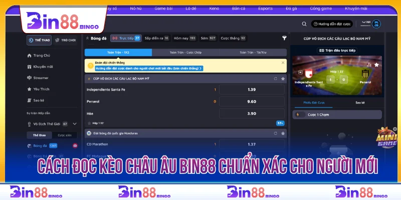 Cách đọc kèo châu Âu BIN88 chuẩn xác cho người mới