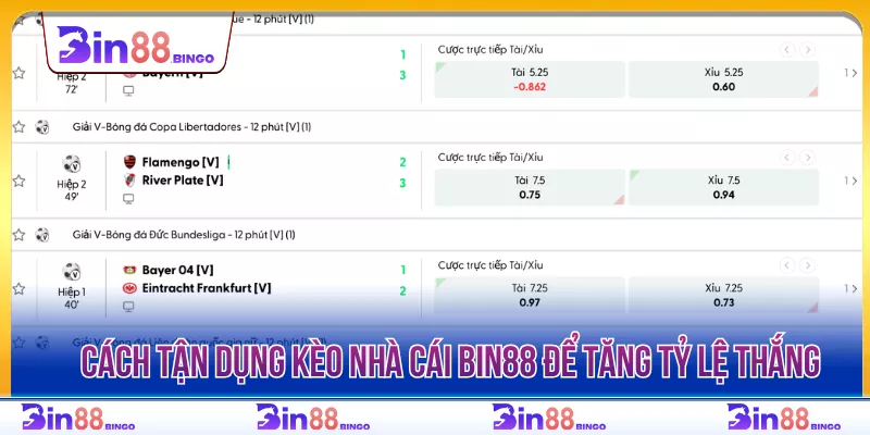 Cách tận dụng kèo nhà cái BIN88 để tăng tỷ lệ thắng