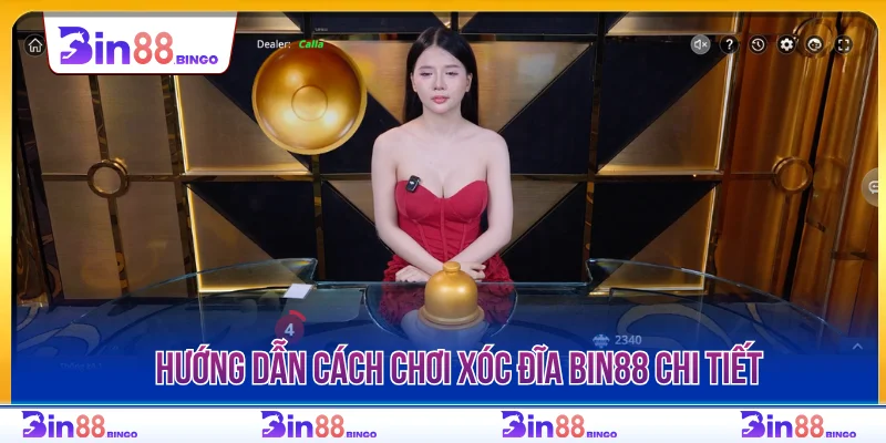 Hướng dẫn cách chơi xóc đĩa BIN88 chi tiết