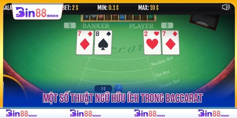 Một số thuật ngữ hữu ích trong Baccarat